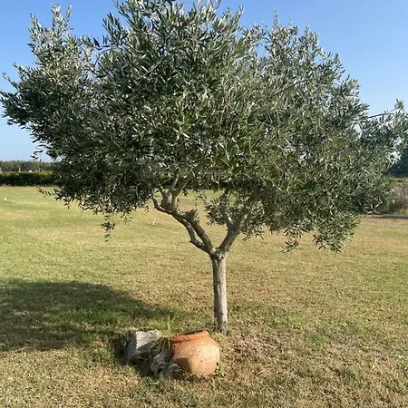 The Ranch 3 Capalbio * פשיה רומנה