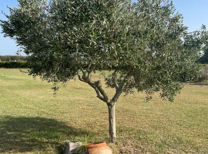 The Ranch 3 Capalbio * ペーシャ・ロマーナ