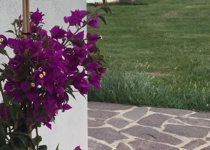 The Ranch 3 Capalbio アパート *